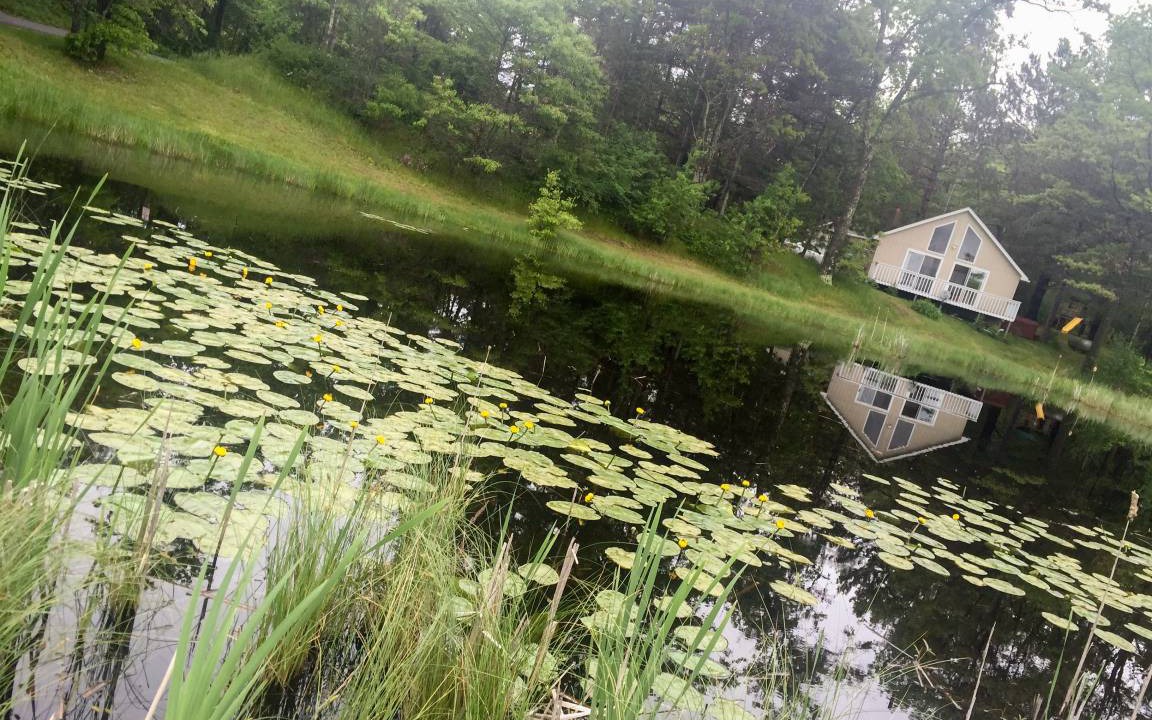 Hayward Cabin | 93 m² Cabin ∙ 3 bedrooms ∙ 8 guests