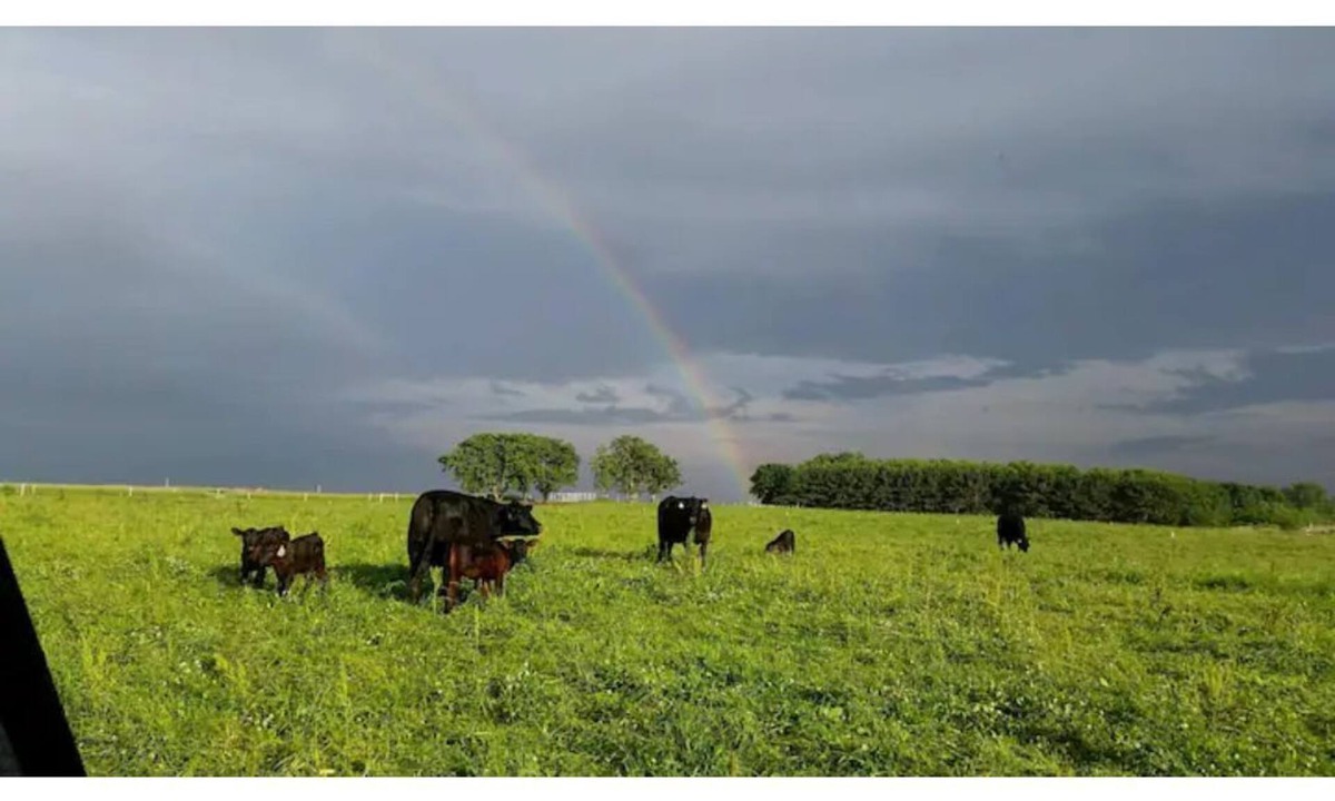 Spring Valley Other | Big Barn Mow