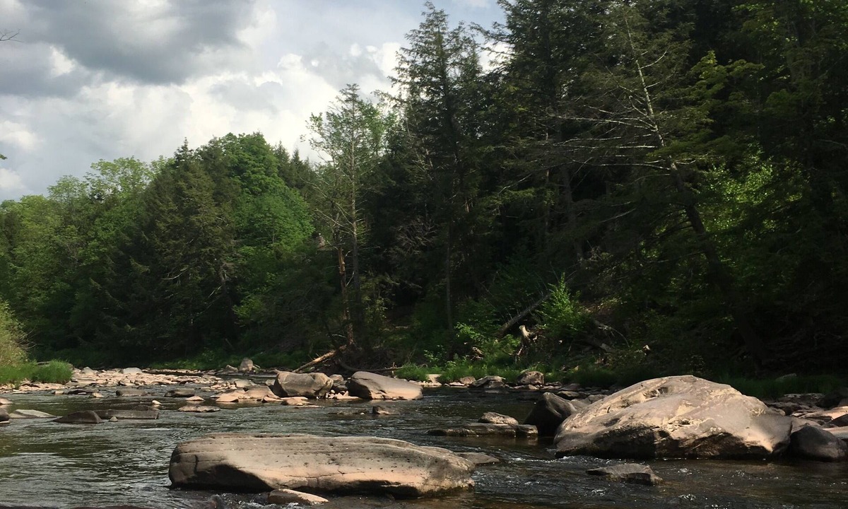 Hunter Cabin | Charming secluded mountain house with creek view. 5 min from Hunter Mtn.