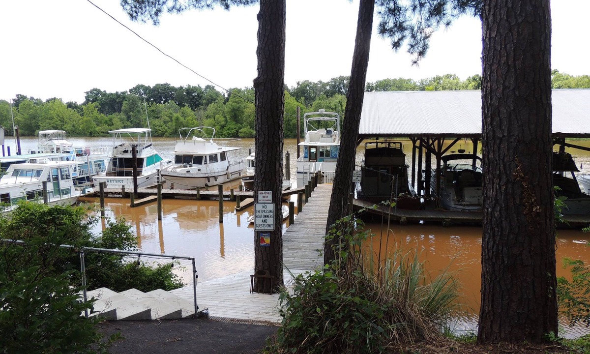 Ampthill Boat Rental | Cookie B