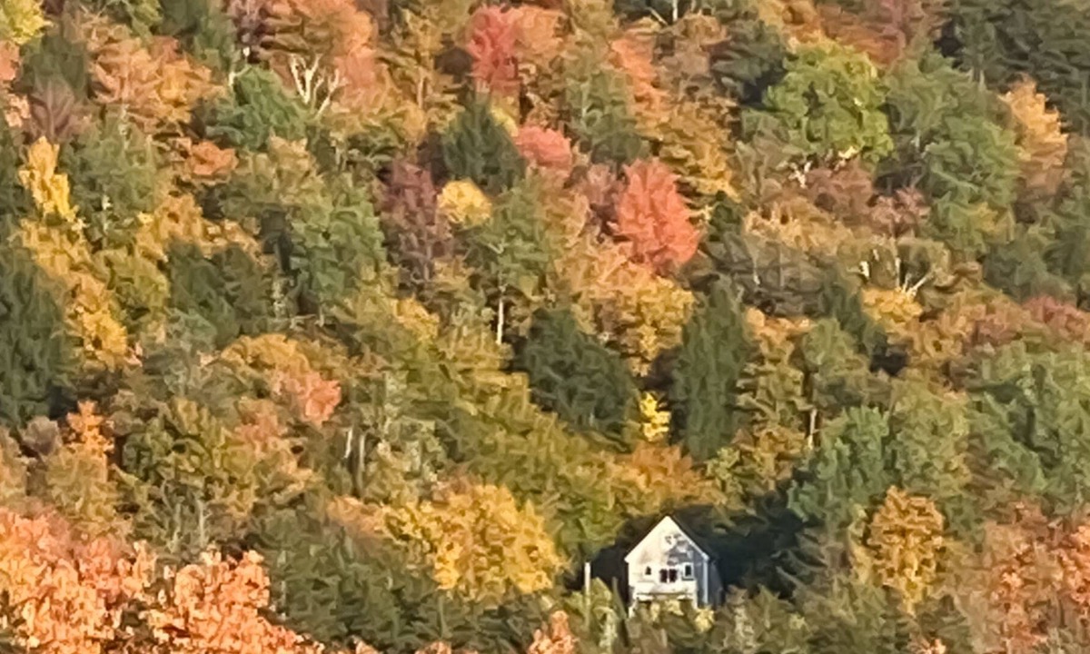 Granville House | Cozy mountain-view retreat abutting the National Forest with views from deck