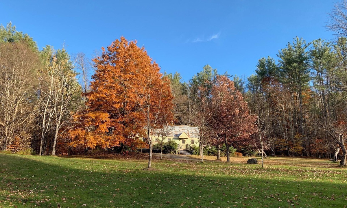 Rowe Bed & Breakfast | Cozy Retreat in the Berkshires - Prue Berry Room in Orchard Guest House
