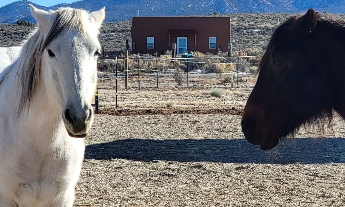 Ranchos De Taos House | Devine Casita - Stunning 360 Views! Dogs OK - Sweet Casita <1 mile to Trails