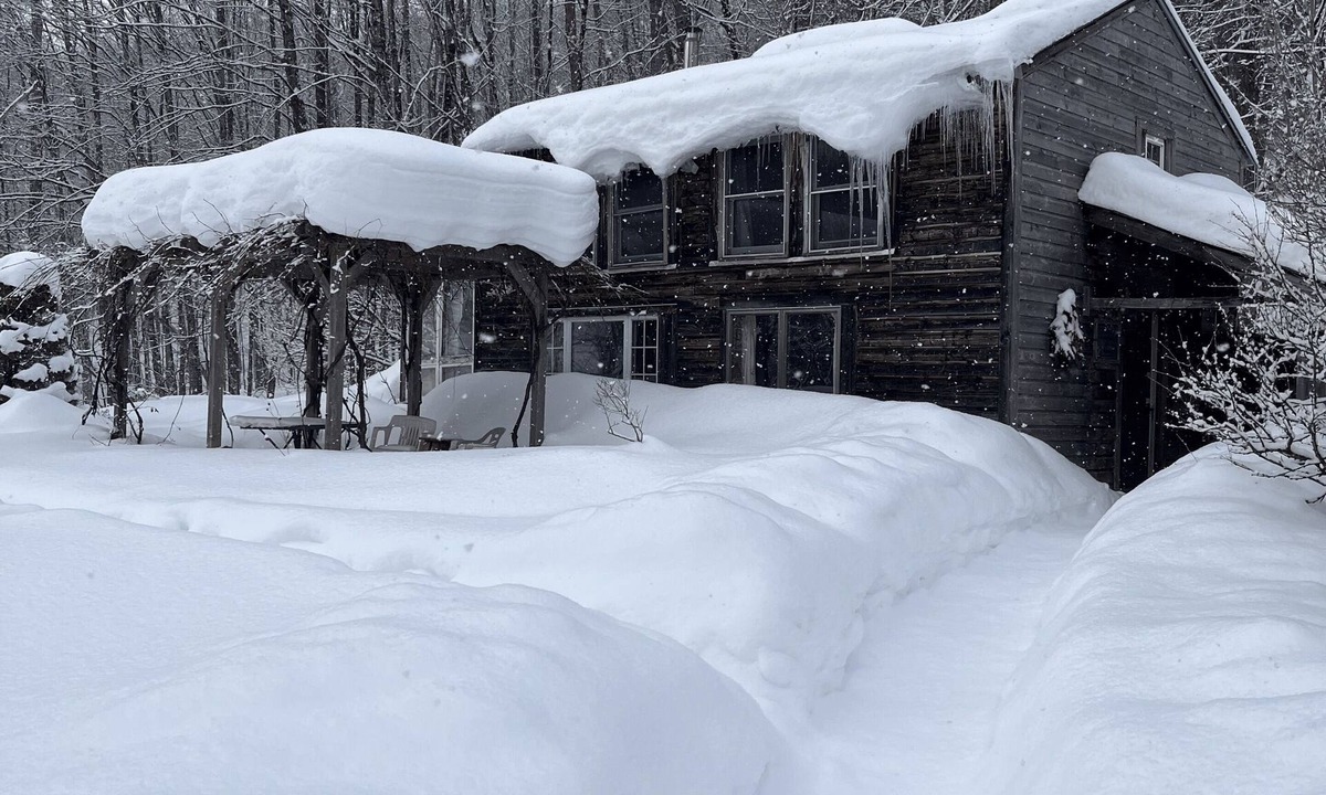 Hyde Park Cabin | Dream Cabin in charming Hyde Park with WiFi access