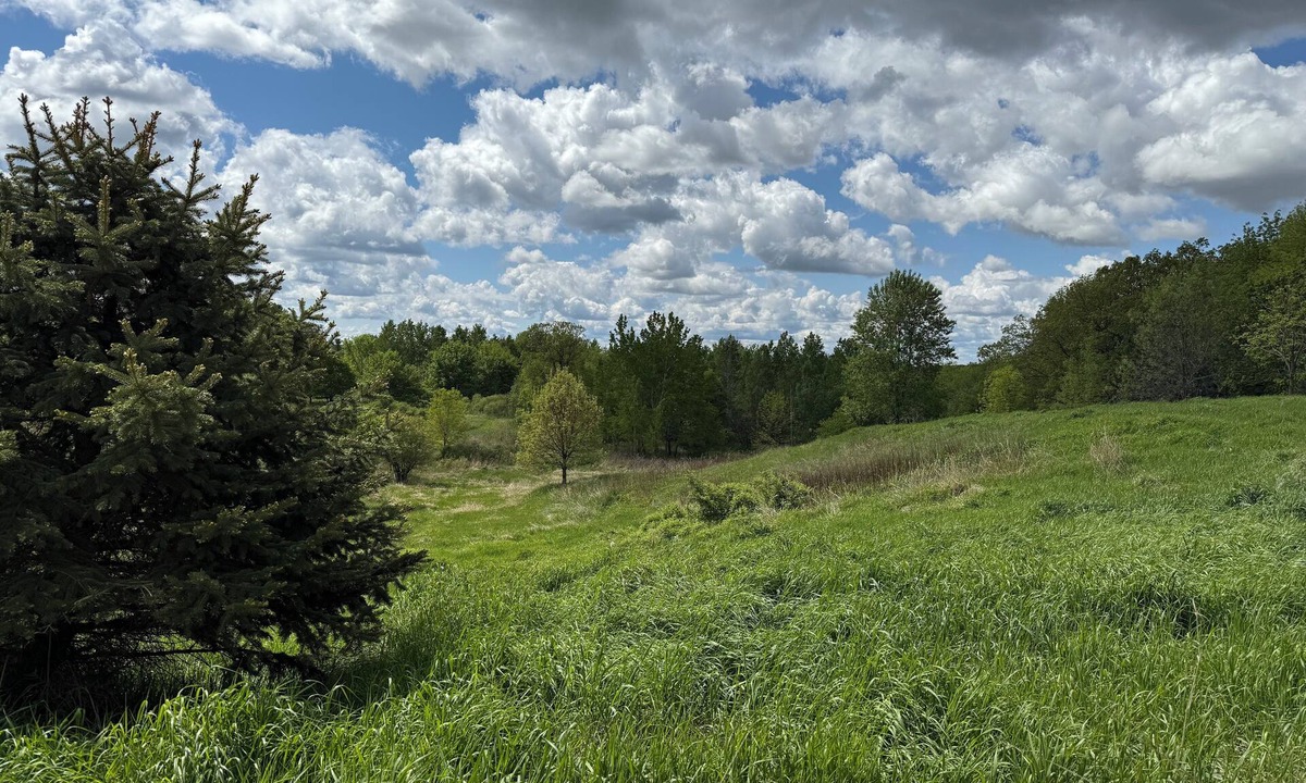 Clayton Other | Farmhouse Retreat