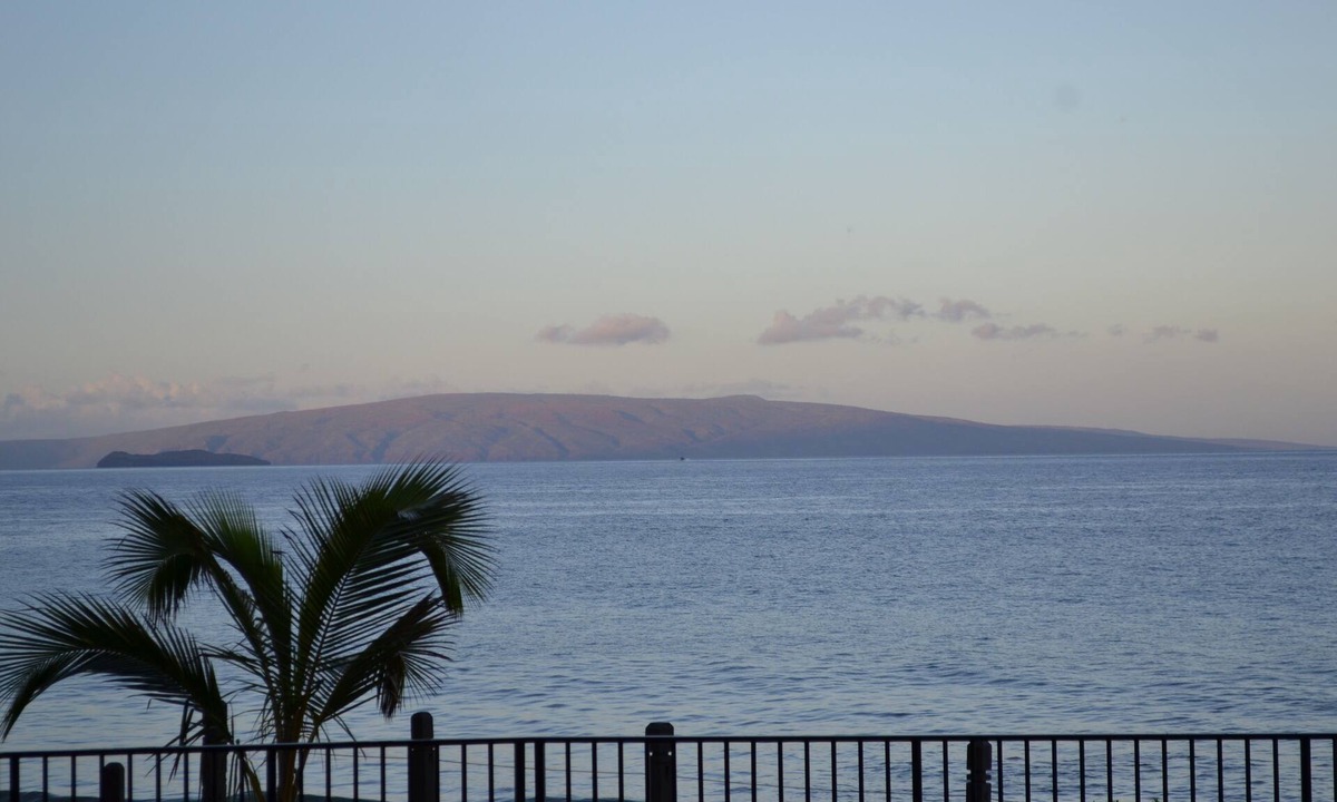 Kihei Condo | Hale Hui Kai #103 Beachfront oasis with sunsets, turtles, oceanfront pool, AC