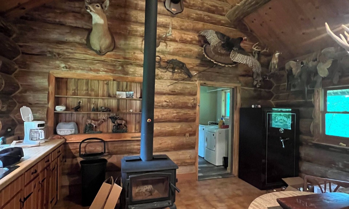 Alma Cabin | Log cabin, log cabin sauna building, wildlife, orchards