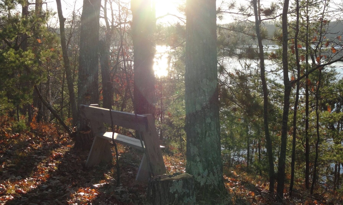 Hayward House | Loons on the spring lake