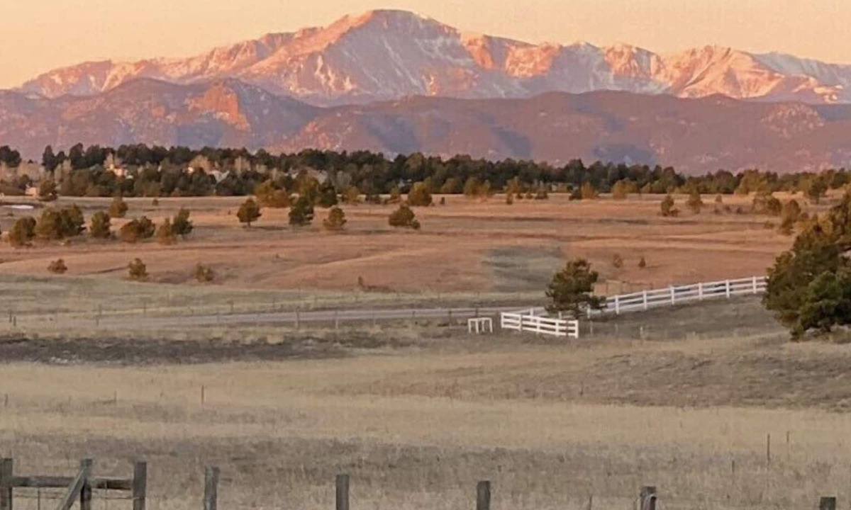 Larkspur House | Mid-terms rental or Family Friendly Getaway