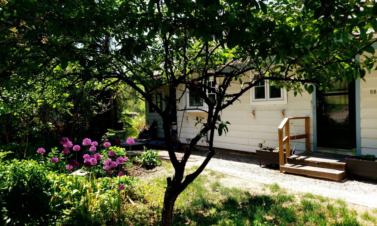 Montpelier House | Montpelier 3 bedroom house located on Terrace St a 5 min walk to downtown.