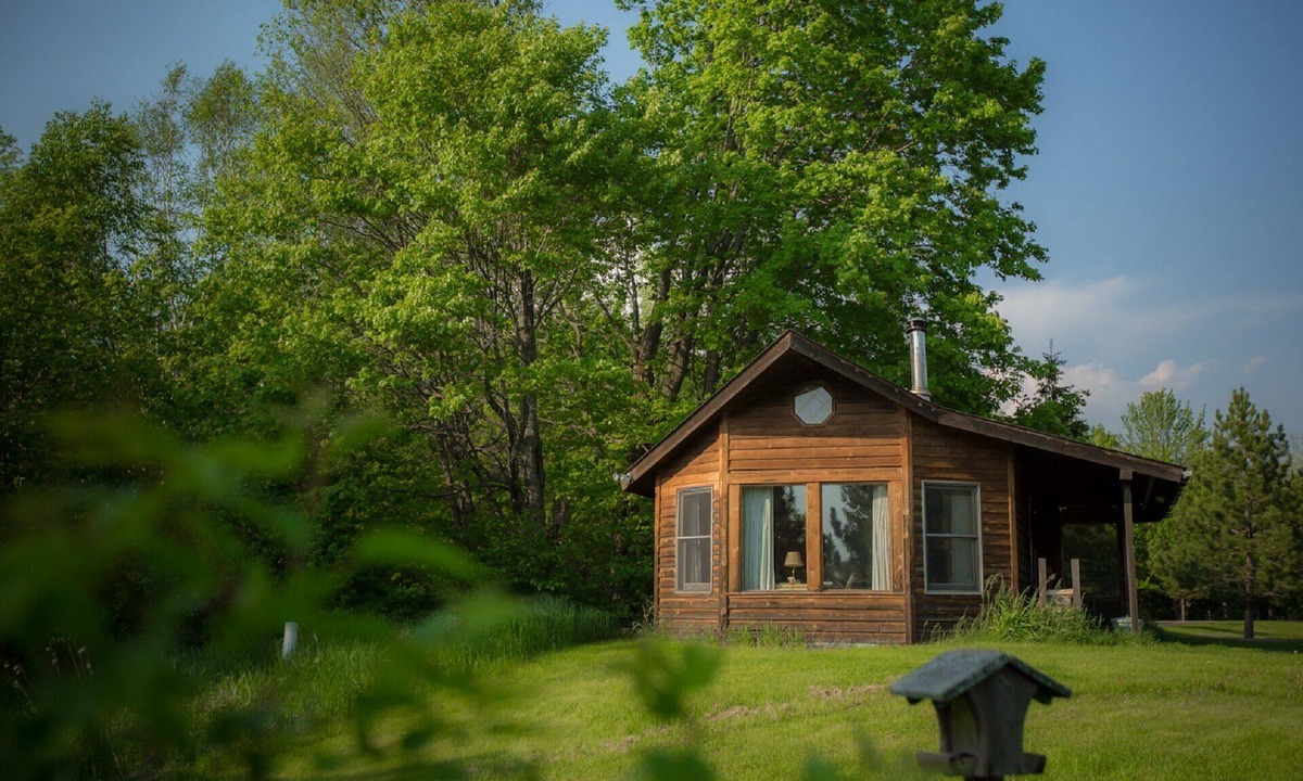 Finlayson Cabin | Pet freindly cabin in the meadows on the edge of the forest with big windows