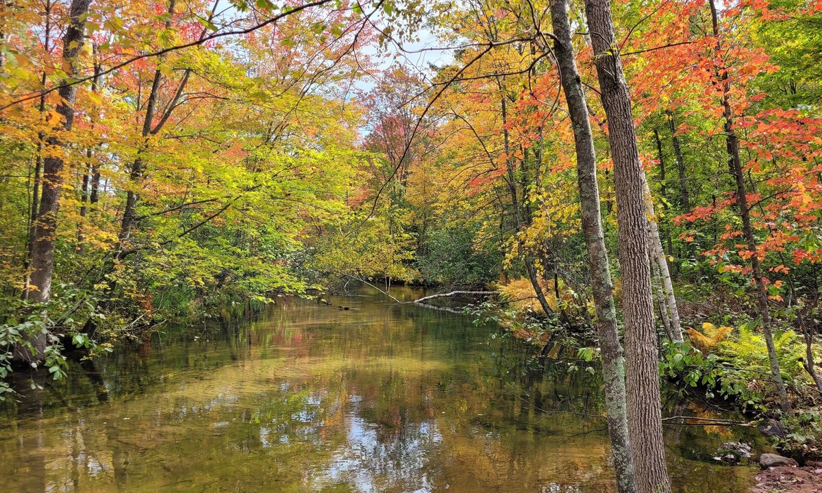 Spooner House | River Ridge Cottage