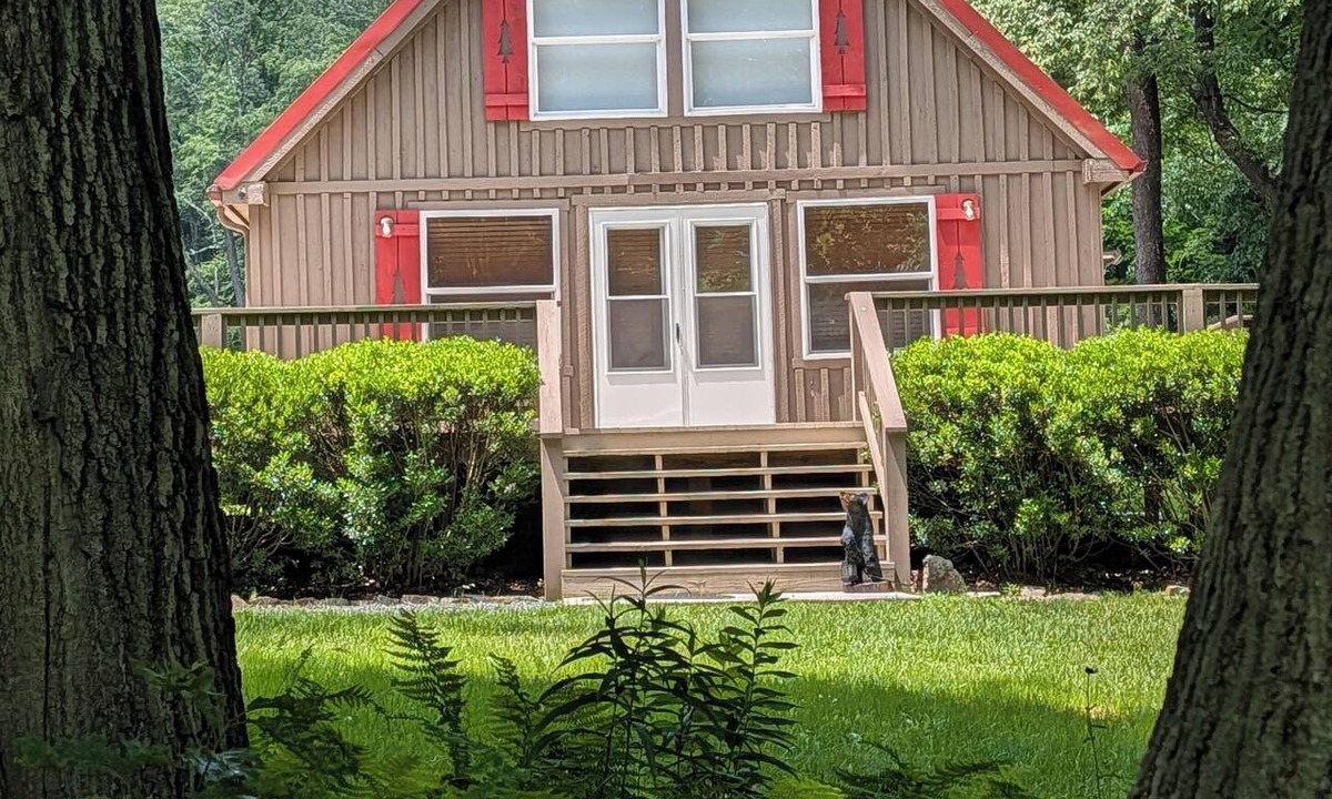Schellsburg Cabin | Secluded Mtn Cabin, 2 King Beds, Fire Pit, 11mi to ATV Park