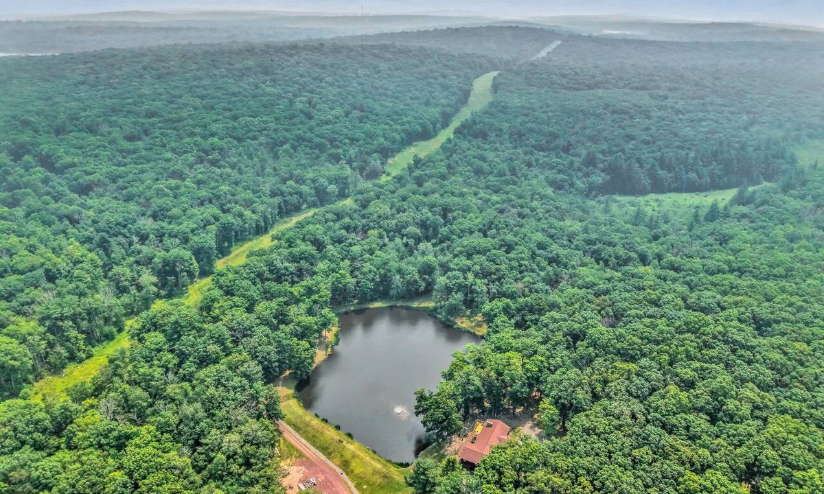 White Mills Cabin | Secluded Rustic Cabin on 50 Private Acres