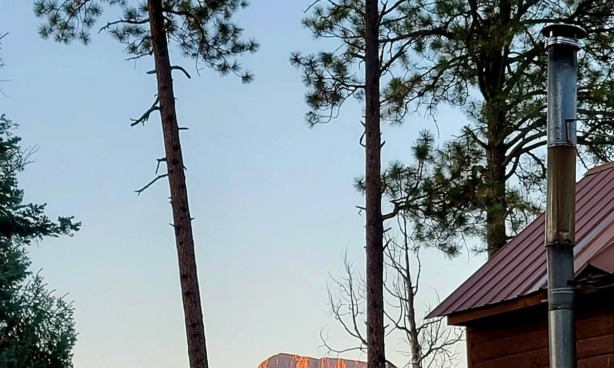 Pagosa Springs Cabin | SnowBird Mountain Retreat
