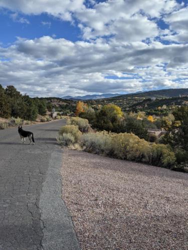 Northeast Santa Fe Apartment | Studio apartment 15 minute walk to plaza
