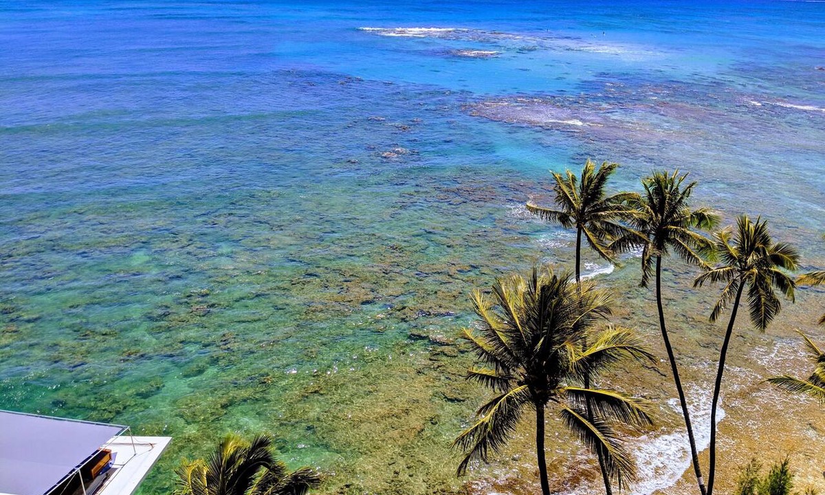Diamond Head - Kapahulu - St. Louis Condo | Summer Prices! Diamond Head Gem 1 bdr oceanfront condo, surfing, sunset views.