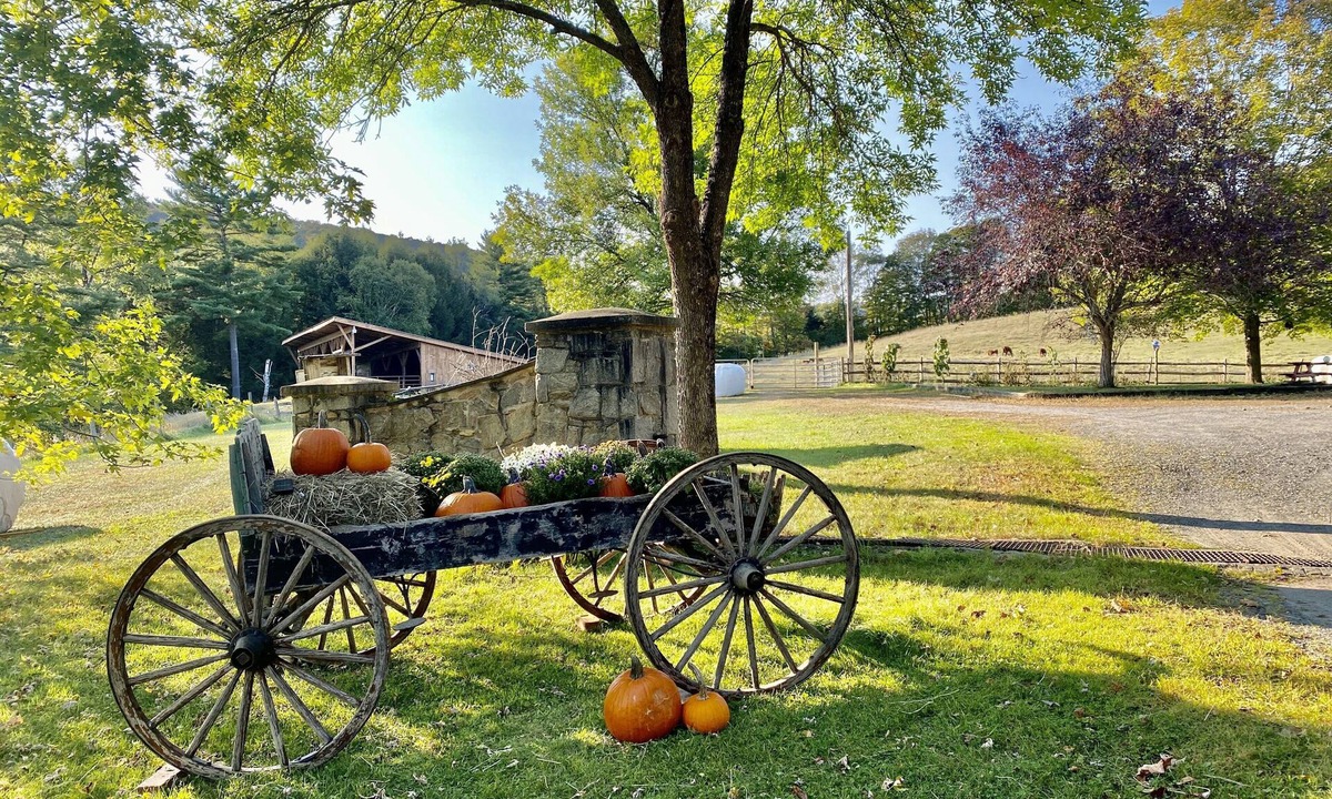 Tunbridge House | The Duck Coop is one of four rentals in the farm house