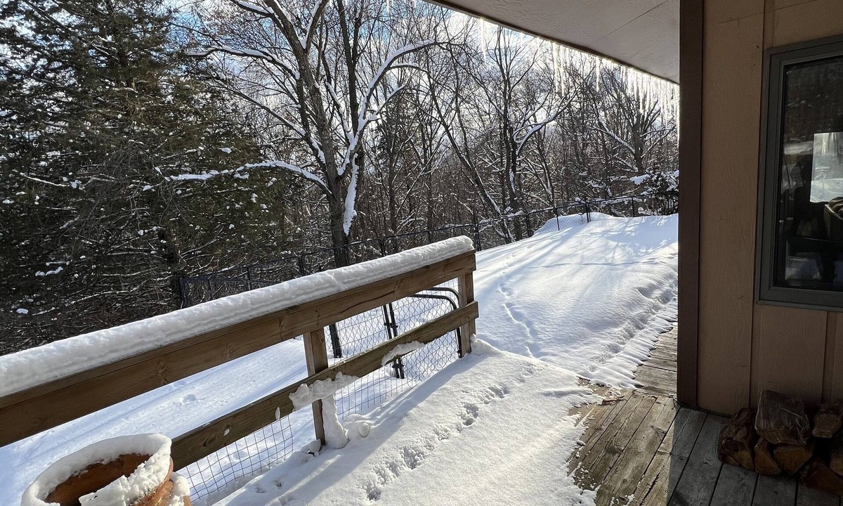Eau Claire House | The Eagle's Nest - Cabin Home