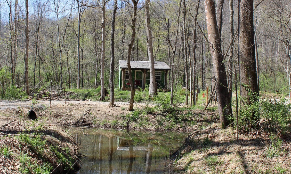 Athens Apartment | Tiny "Topiary" cabin in the forest