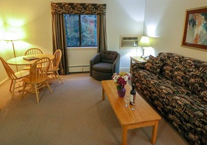 114 Efficiency with Sleeper Sofa only