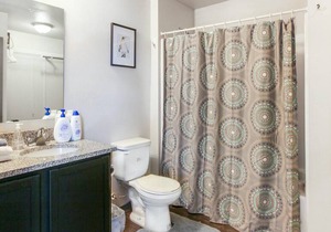 530 ft² Studio flat