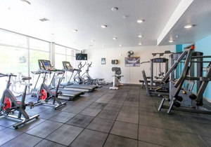 530 ft² Studio flat
