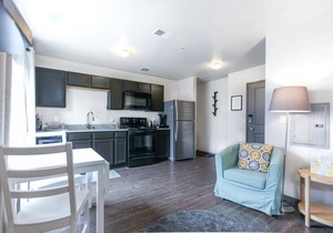 530 ft² Studio flat
