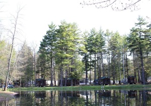 Alpine Lake Lakefront Cabin 8