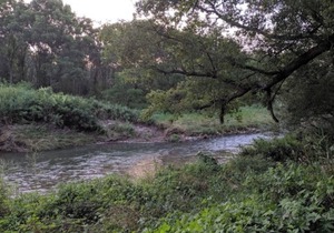 Blakley Hobbit Campground-RV spot #1