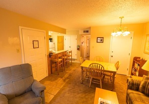 Condo in the mountains!
