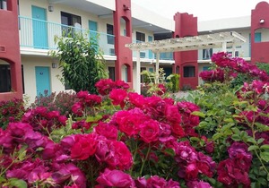 Days Inn by Wyndham Santa Fe New Mexico