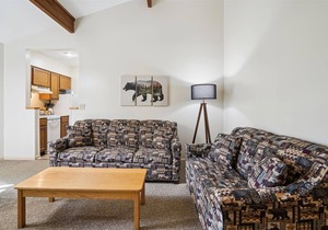 Deluxe One bedroom Queen Suite with outdoor heated pool 203