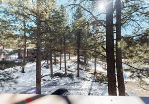 Redwood Commons B12