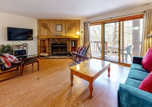 Riverfront, dog-friendly gem with fireplace, fast WiFi & pool -snowbird-friendly