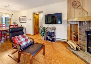 Riverfront, dog-friendly gem with fireplace, fast WiFi & pool -snowbird-friendly