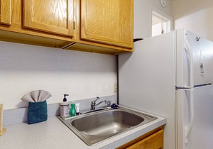 Ski-In, Ski-Out Condo at Sierra Del Sol with Sauna & Views, Walk to Village