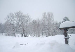 Trapp Family Lodge Guest House - New Years' week! Available Dec 30-Jan 6