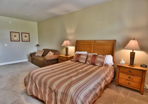 Unit 431B 1Bd 1Ba Efficiency Suite Condo