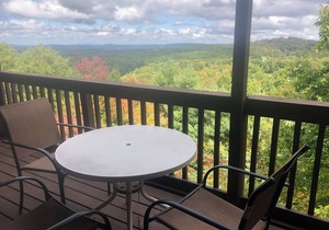 Winterplace Condo D306