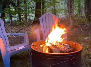 Woodland Pines | Intervale