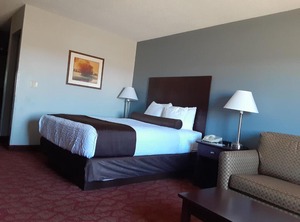 Boarders Inn | Billings Park