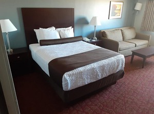 Boarders Inn | Billings Park