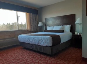 Boarders Inn | Billings Park