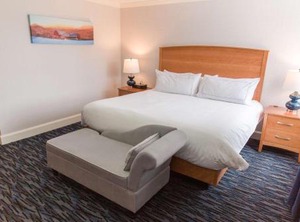Capitol Plaza Hotel Tapestry | Montpelier