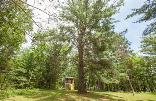 Hayward Cabin | 93 m² Cabin ∙ 3 bedrooms ∙ 8 guests