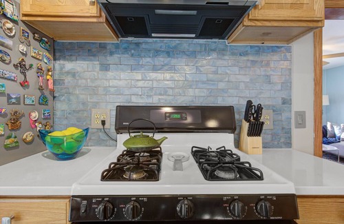 Bottineau Apartment | Beautiful retreat 3.0mi to downtown, MOA, MSP