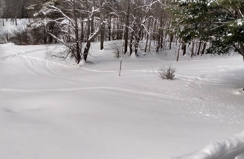 Williamstown Apartment | Central to VT skiing areas 5 minutes to I-89 , near VAST trails, near Norwich