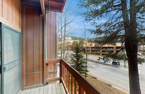 Angel Fire Condo | Condo ∙ 1 bedroom ∙ 5 guests