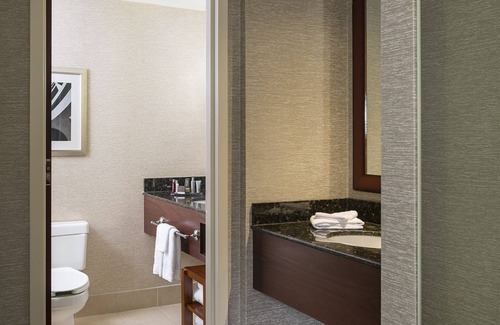 Downtown Hotel | Marriott Rochester Mayo Clinic